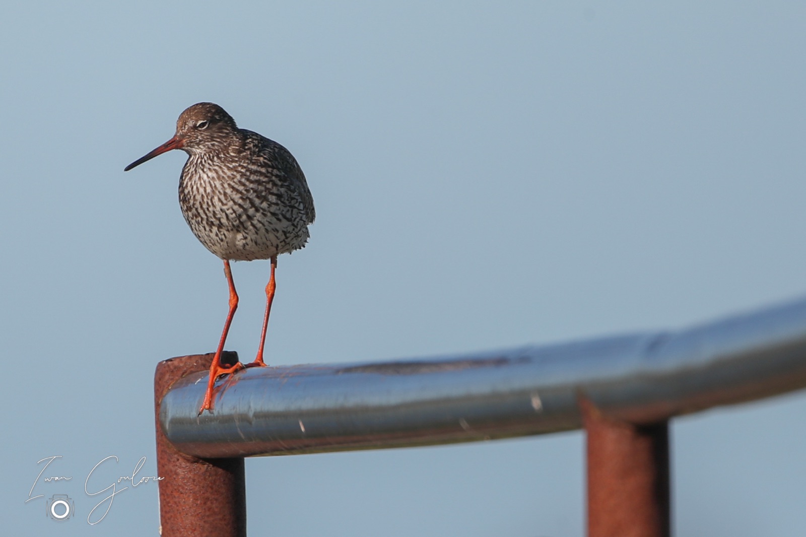 11 juni 2022 192822 1DX46914